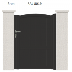 RAL 8019