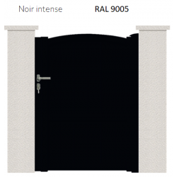 RAL 9005