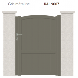 RAL 9007
