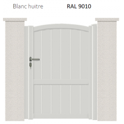 RAL 9010